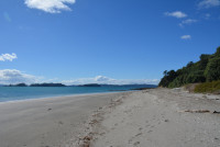 Motuora Island